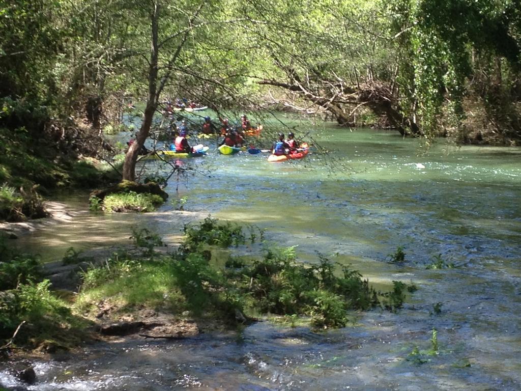 Quinta Do Rio Homem Caldelas Exteriér fotografie