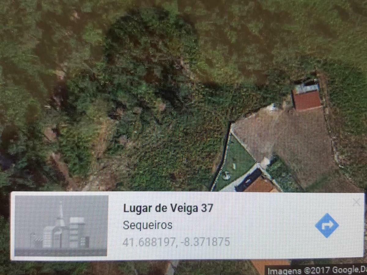 Quinta Do Rio Homem Caldelas Exteriér fotografie